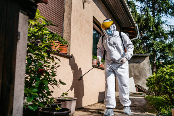 Best Exterminator Services  in Seeley Lake, MT