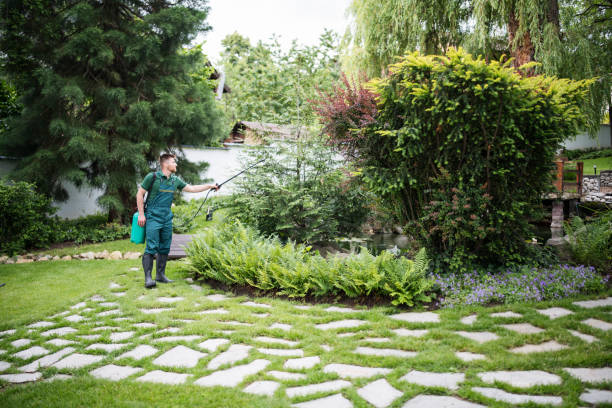 Best Pest Removal Services  in Seeley Lake, MT
