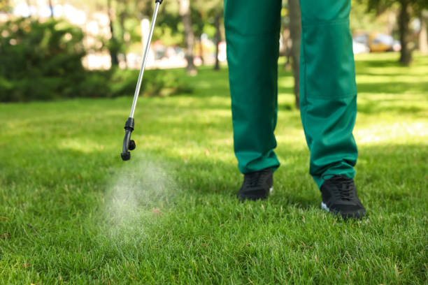 Flea Control Services in Seeley Lake, MT