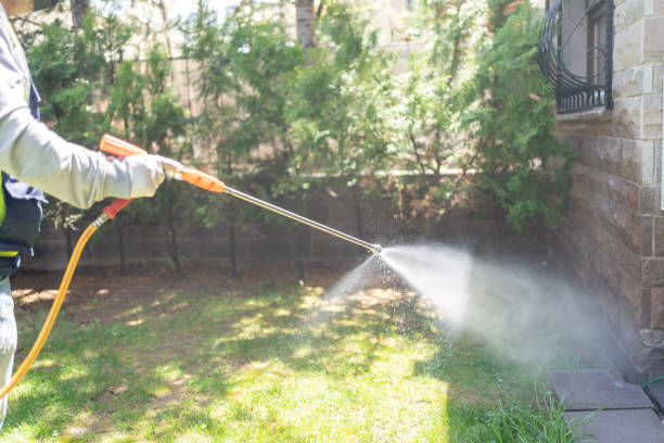 Professional Pest Control in Seeley Lake, MT