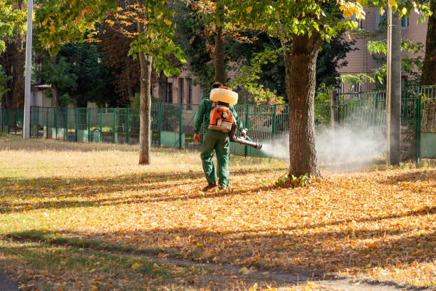Best Best Pest Control Companies  in Seeley Lake, MT