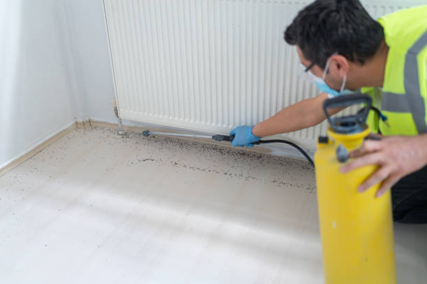 Best Pest Inspection Near Me  in Seeley Lake, MT